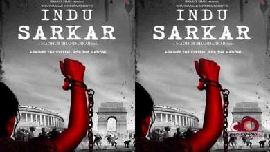 indu sarkar