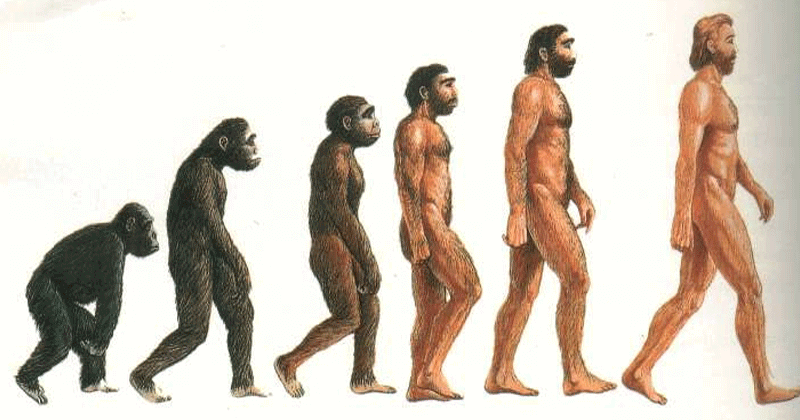 Theory of Evolution