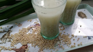 Barley-Water